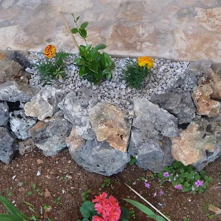 With A Parking Space - 12948 Appartamento Vir